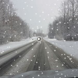 Meet your Posher, Carrie